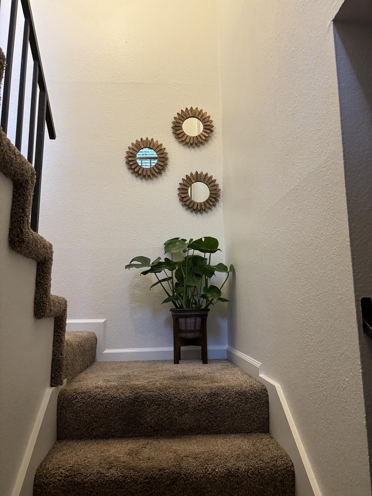 LOSOUR Boho Wall Decor Sunburst Mirror 3 Pack Rustic Round Wood Mirror 12 inch Boho Mirror Home Decor Farmhouse Room Decorations for Bedroom Living Room Entryway customer photo 1