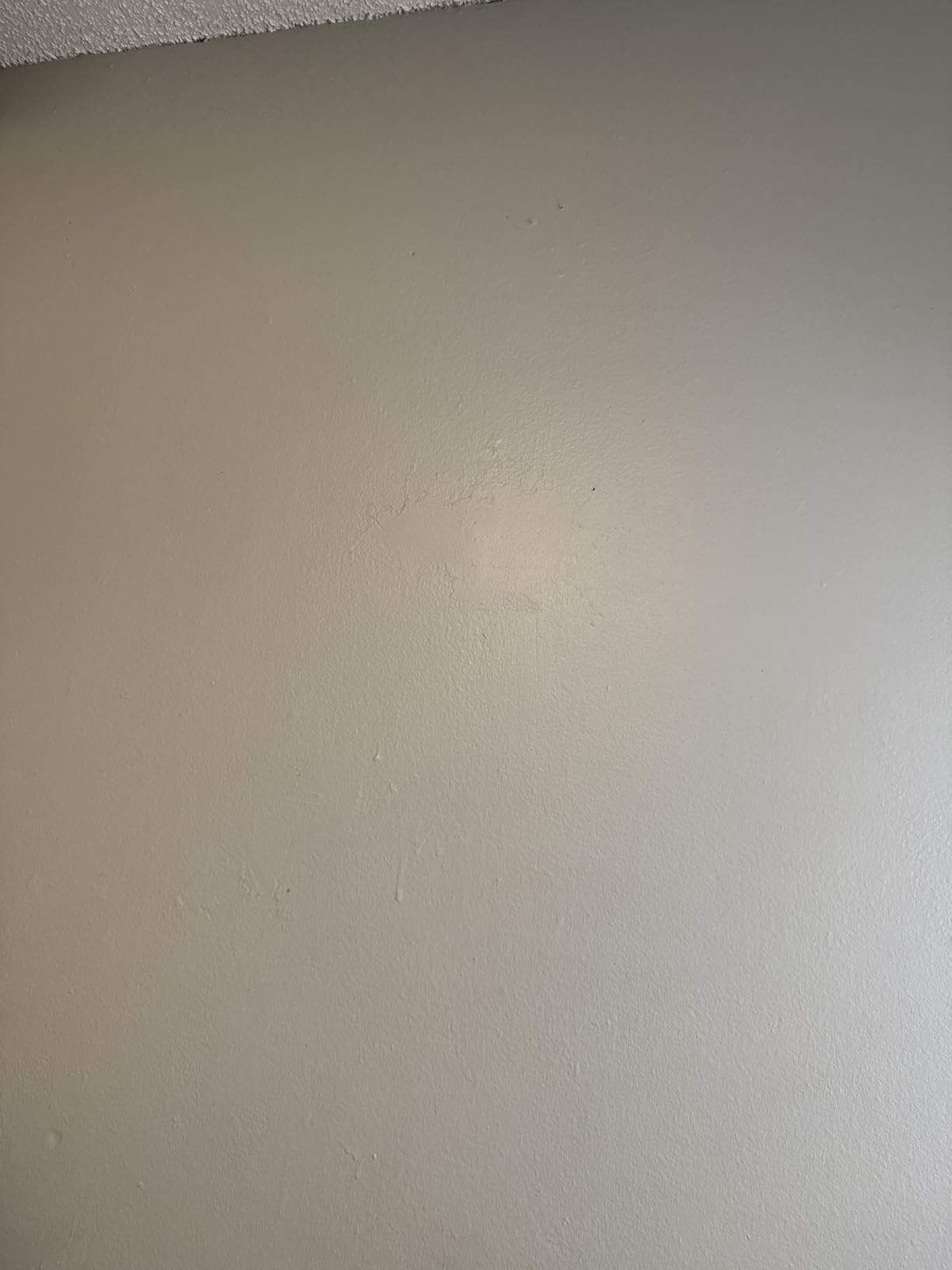 EVOLVE Signature Collection Luxury Interior Paint & Primer, Semi-gloss Sheen (Jute Beige), 1 Gallon – Premium One-Coat Coverage, Low VOC, Low Odor, Washable Finish for Walls, Ceilings & Trim customer photo 1