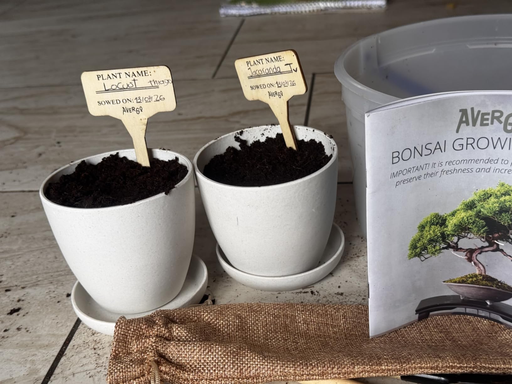 Bonsai Starter Kit - 2X Bonsai Tree | Complete Indoor Starter Kit for Growing Bonsai Plants with Tools & Planters - Gardening Gifts for Women & Men customer photo 2