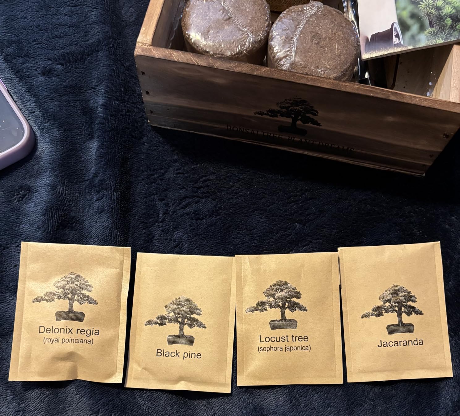 Bonsai Tree Starter Kit for Beginners - Indoor Live Plant Gardening Adult Craft DIY Kits - Unique Christmas, Birthday, White Elephant Gifts for Women, Men, Boys & Girls customer photo 1