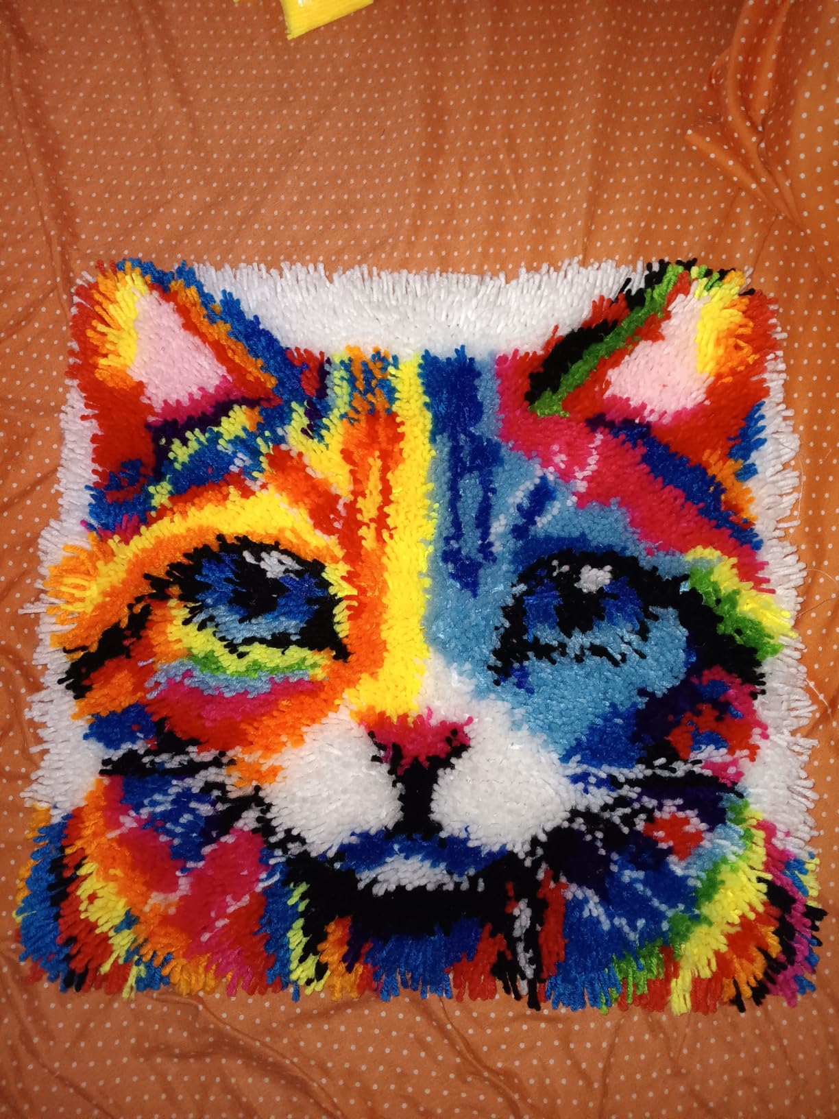 Colorful Cat Latch Hook Pillow Kits for Adults Beginner, Pre-printed Canvas | All-in-One Pets Latch Hook Rug Kit, Easy DIY Cushion Pillowcase Craft Gift Relaxing Hobby for Home Decor customer photo 1