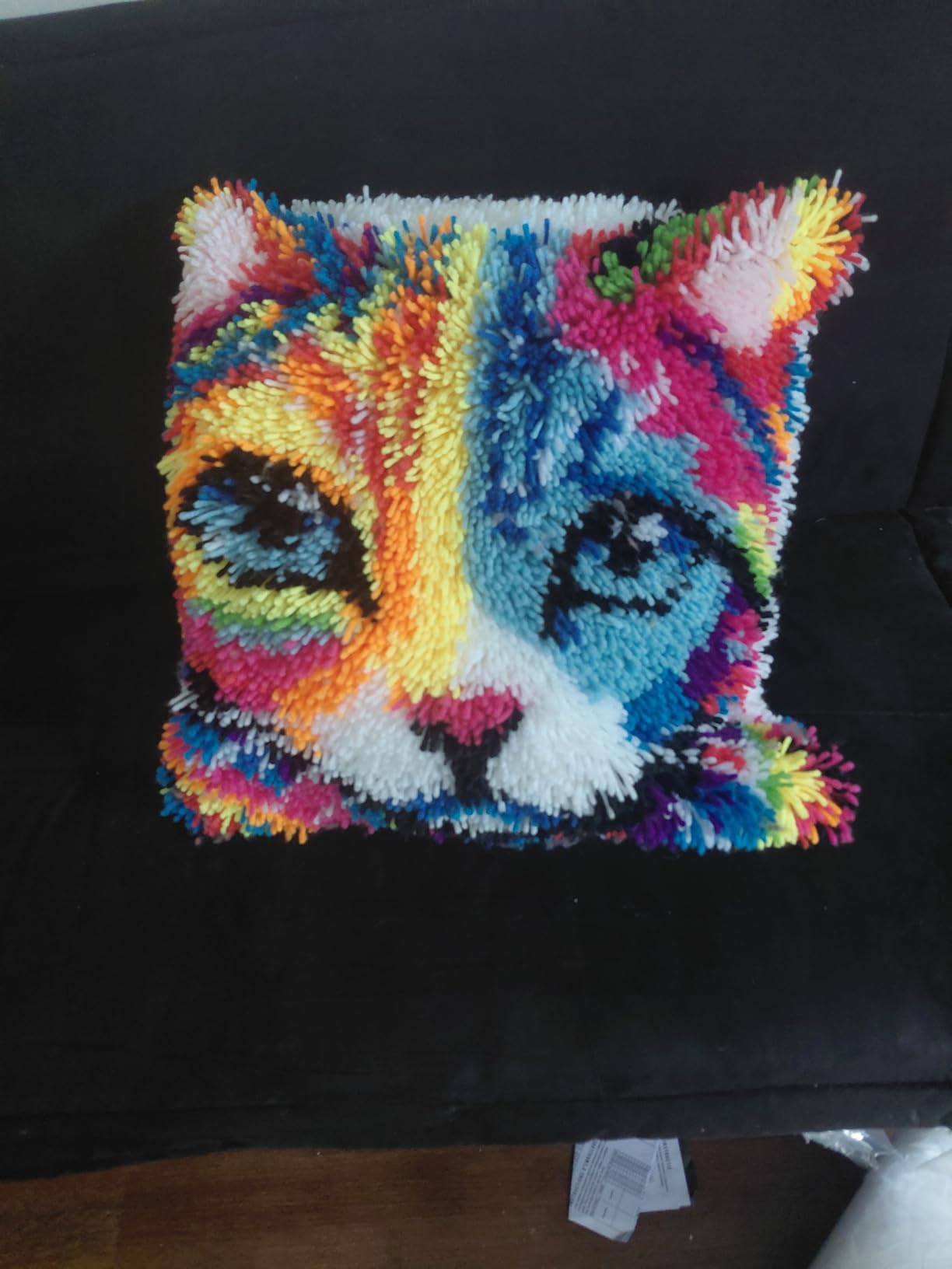Colorful Cat Latch Hook Pillow Kits for Adults Beginner, Pre-printed Canvas | All-in-One Pets Latch Hook Rug Kit, Easy DIY Cushion Pillowcase Craft Gift Relaxing Hobby for Home Decor customer photo 2