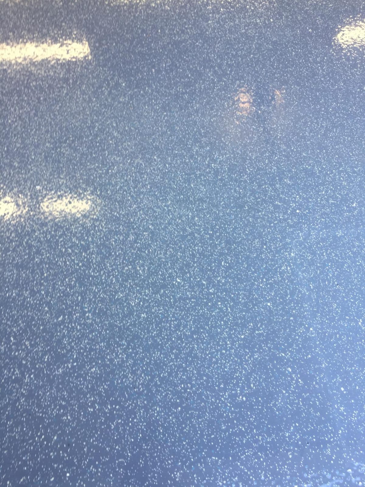 Epoxy Floor Kit – Good Half Kit – Black Base with Domino Blend Flake – Covers 250 sq. ft. at 9.7 mils Thickness – Ideal for Garage, Basement, Concrete Floors, and More customer photo 1