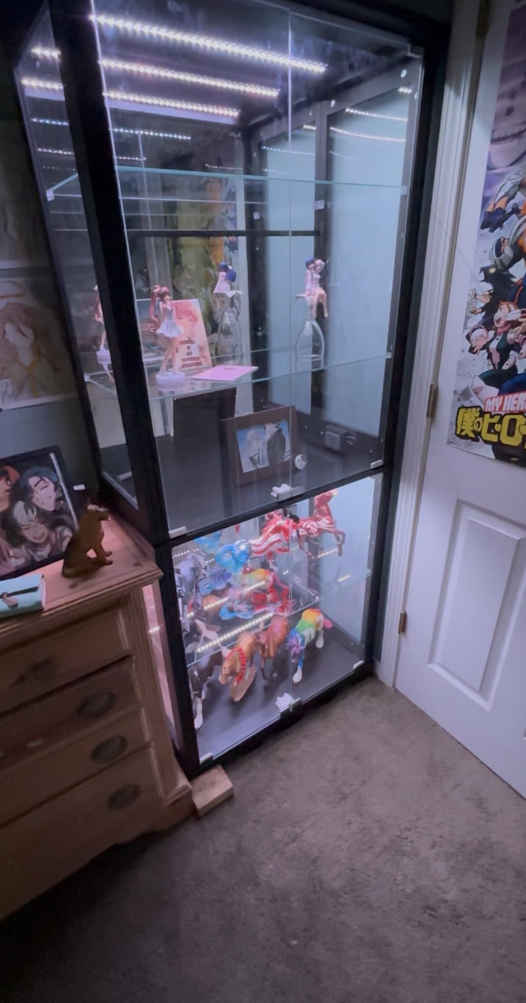 Dystler Display Cabinet with Glass Doors, RGB Lights for Collectibles customer photo 2