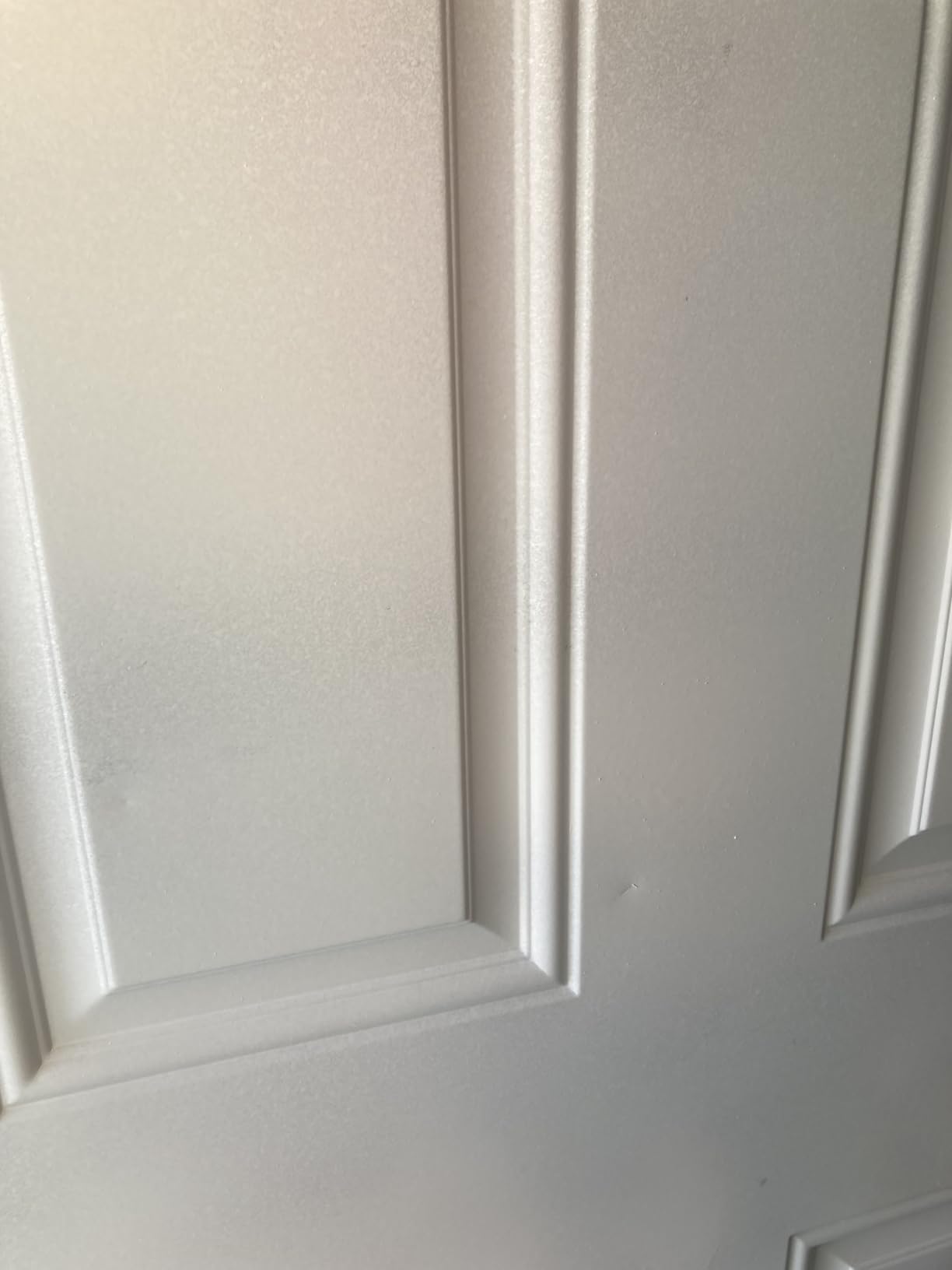 EVOLVE All Purpose Whites Paint & Primer, Flat (Cool White), 1 Gallon – Interior Latex, Excellent Touch-Up, High Hiding, Durable Paint for Walls & Ceilings customer photo 1