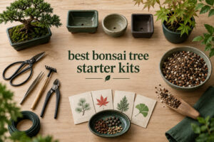 best bonsai tree starter kits